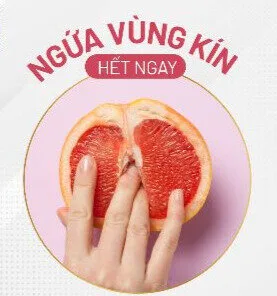 Cách trị ngứa vùng kín hiệu quả chị em đã biết?